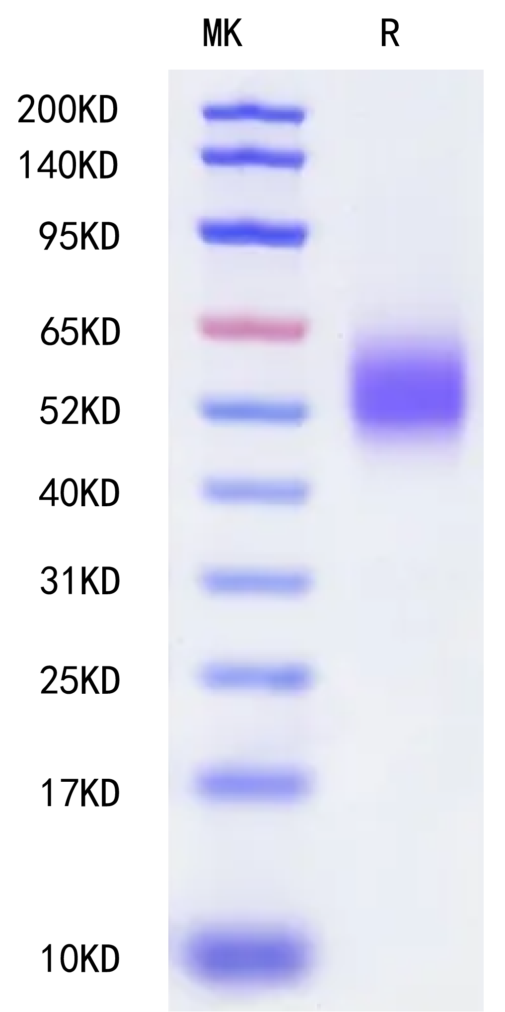 恺佧生物科技（上海）有限公司 - GFL-HM401