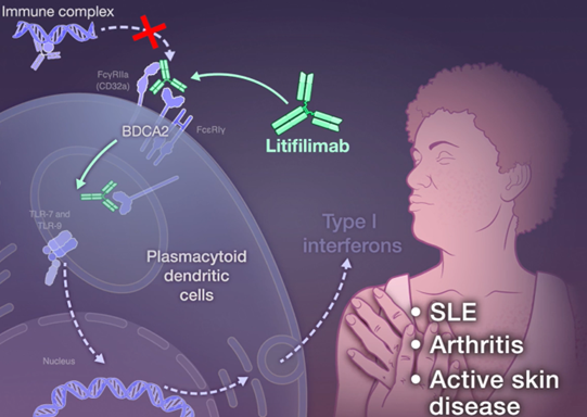 恺佧生物科技（上海）有限公司 - 新闻资讯